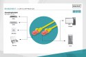 Patch cord U/UTP kat.6 PVC 0,5m Żółty