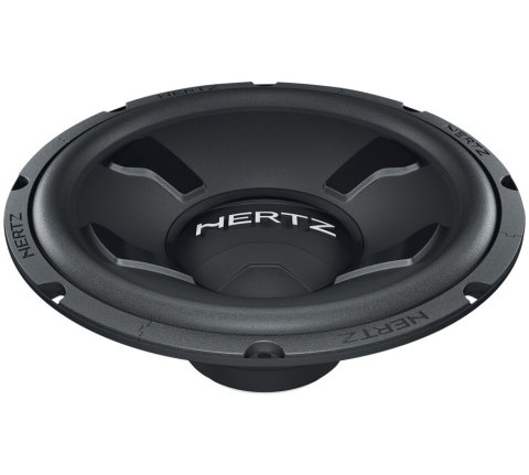 DS 25.3 SUBWOOFER 250mm DS 25.3 SUBWOOFER 250mm
