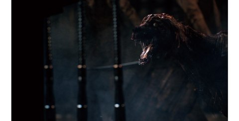 Gra PS4 Bloodborne GOTY