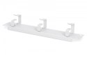 Organizer kablowy poziomy typu RING 10 cali (254mm) 1U 44x254x60mm, (RAL 7035) Szary