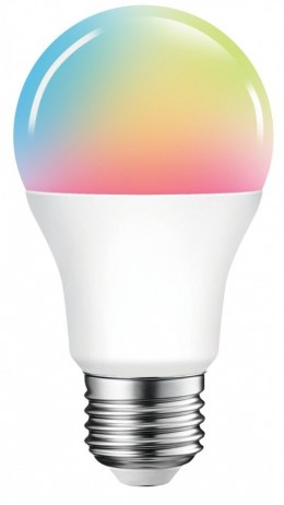 Inteligentne źródło światła LED LB1 Kolorowa