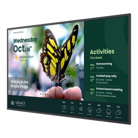 Monitor wielkoformatowy 43 cale ST4304 4K/1200:1/ANDROID